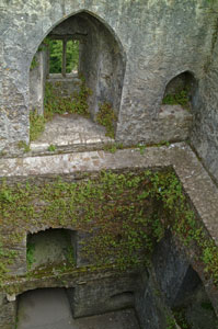 Blarney-Castle-inside