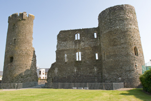 Ferns-Castle